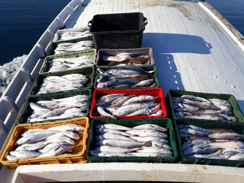 Vršimo prvokup od naših jadranskih ribara