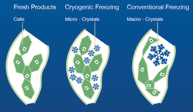 Smrzavanje Smrzavanje